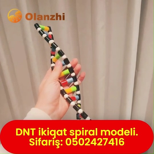 DNT ikiqat spiral modeli (DNA double helix) - Tenderyard
