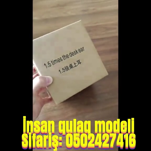 İnsan qulaq modeli - Tenderyard
