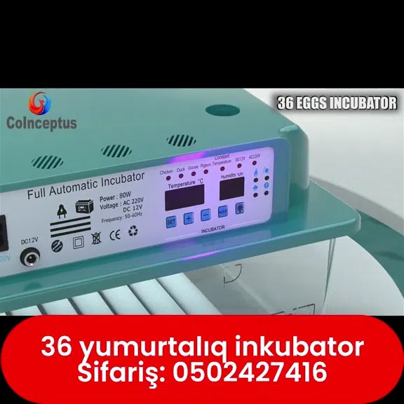 36 yumurtalıq avtomatik inkubator - Tenderyard