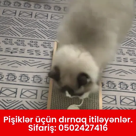 Pişiklər üçün dırnaq itiləyən cızma taxtası və dirəyi - Tenderyard