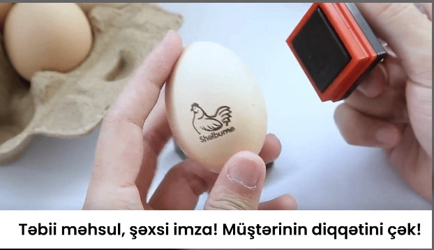 Şəxsi brend yumurta möhürü - Tenderyard