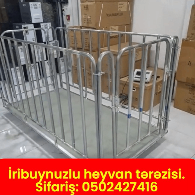 İribuynuzlu heyvan tərəzisi - Tenderyard